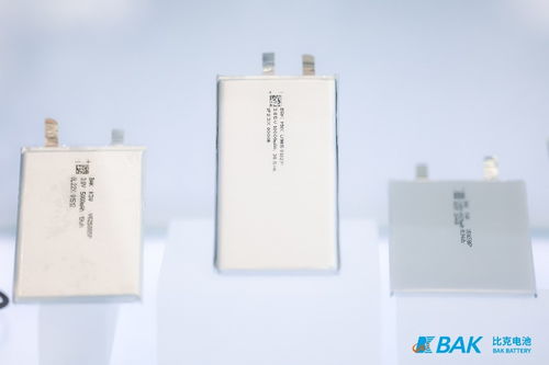 比克電池強(qiáng)勢(shì)登陸CIBF 2023 四大產(chǎn)品線聯(lián)袂登場(chǎng)，彰顯技術(shù)領(lǐng)導(dǎo)力